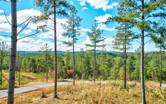 LT 62 Seven Mile Creek Rd, Talking Rock, GA 30175