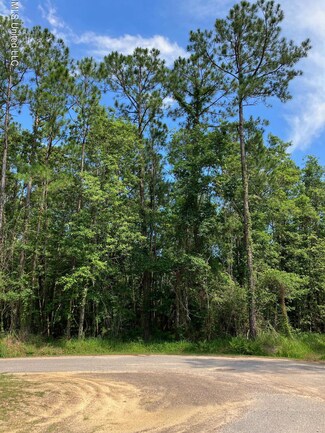 Lot 68 Aupuni Place, Diamondhead, MS 39525