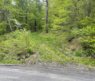 220 Mary Taylor Rd, Middleburgh, NY 12122