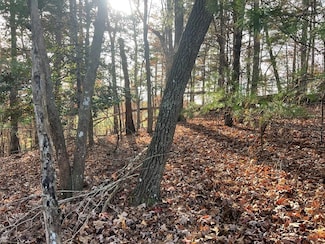 71 Dryad Ct, Ellijay, GA 30540