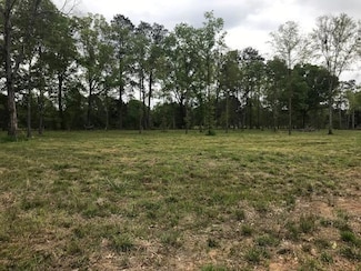 0 Hwy 107 Lot F Oak Ridge Lane of Oak Ridge Sub Unit 151456, Center Point, LA 71323