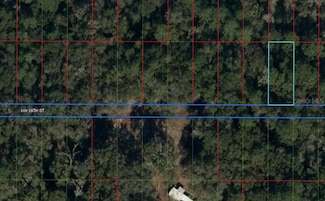 Lot 29 NW 58th St, Chiefland, FL 32626