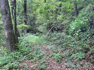 00 Eastatoe Gap Rd Unit 52, Rosman, NC 28772