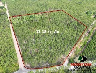 0 Ralph Davis Rd, Folkston, GA 31537