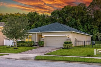 3450 Creek Run Ln, Eustis, FL 32736