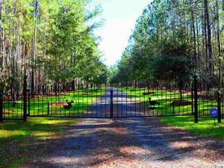 1148 Trio Rd Unit Pineover Farms, Andrews, SC 29510