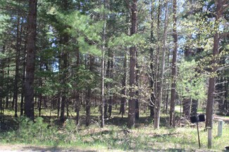 3945&3955 W Cherry Creek Rd, Mio, MI 48647