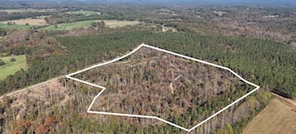 0 Tower Rd Unit 21957835, Toccoa, GA 30577