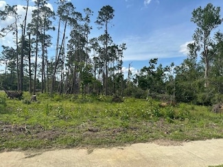 Lot #2 Hwy 280 Spring St, Mt. Vernon, GA 30445