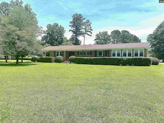 535 Sandbar Rd, Chapin, SC 29036