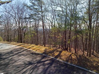 30 Snap Dragon Way, Landrum, SC 29356