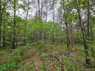 Lot 1 16th Ave, Necedah, WI 54646