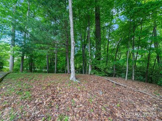 2507 Carriage Falls Ct, Hendersonville, NC 28791