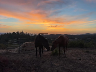 6165 Starlight Ln, Mountain Ranch, CA 95246