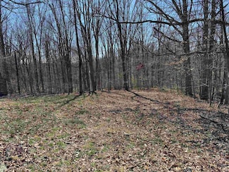 222 Pea Ridge Rd, Spencer, IN 47460
