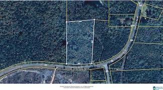 0 Coosa County Road 30, Rockford, AL 35136