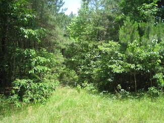 0 County Road 2113, Queen City, TX 75551
