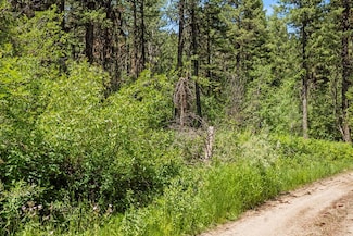 513 Susan Rd Unit 42, Cascade, ID 83611