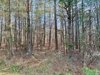 Lot 13 Oak Ridge Dr, Waverly, GA 31831