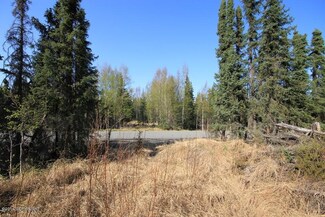 L26A B2 E 98th Ave, Anchorage, AK 99507