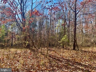 0 Egypt Bend Rd Unit VAPA2002970, Luray, VA 22835