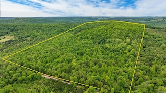 1505 Brushy Creek Rd, Mountain View, AR 72560