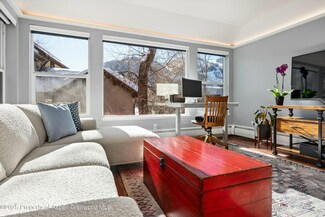 1047 Vine St Unit 1047, Aspen, CO 81611