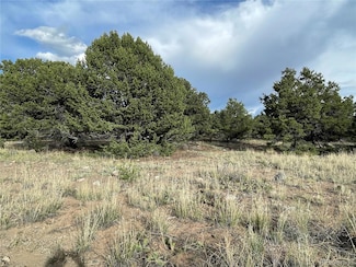 3383 Genial Way, Crestone, CO 81131