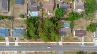 12060 Elgin Blvd, Spring Hill, FL 34608