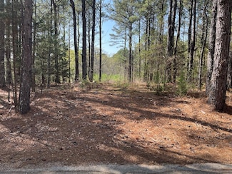 TBD Cr 207, Oxford, MS 38655