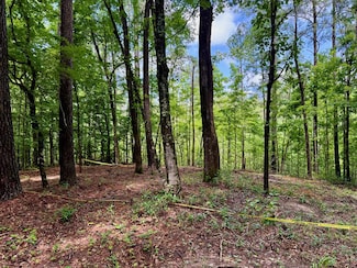 tbd Tanglewood Cir, Nacogdoches, TX 75961