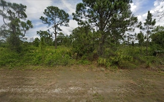 1139 Venetia St, Lehigh Acres, FL 33974