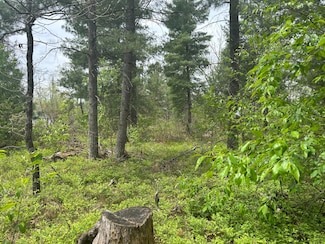 V/L Cook Rd, Yates Township, MI 49642