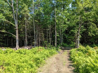 0 Purcell and Fullam Pond Rd, Winchester, NH 03470