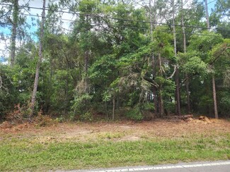 5190 E Anna Jo Dr, Inverness, FL 34450