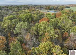 00000 Childress Rd, Kevil, KY 42053