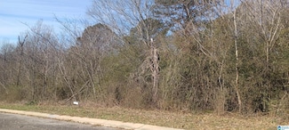 3299 Hillcrest Place Unit 12, Adamsville, AL 35005