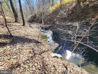 0 Edinburg Gap Rd, Edinburg, VA 22824