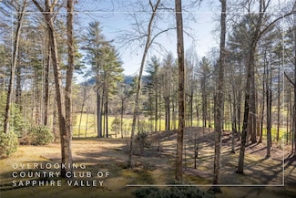 334 Back Nine Ln, Sapphire, NC 28774