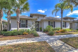 11313 Wickersley Place, Tampa, FL 33625