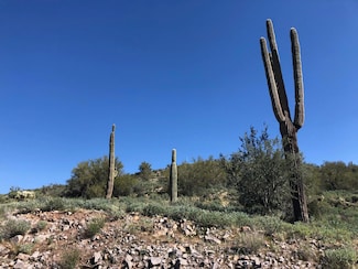 3863 S Avenida de Angeles -- Unit 103, Gold Canyon, AZ 85118