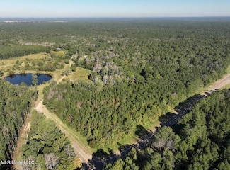 279 Bar C Ranch Rd, Morton, MS 39117