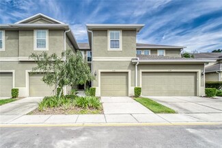 2116 Broadway View Ave, Brandon, FL 33510