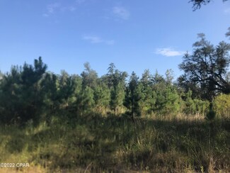 0000 Oak Grove Rd, Sneads, FL 32460