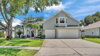 3911 Smoke Rise Ct, Valrico, FL 33594