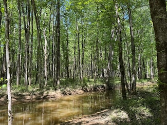 0 County Road 4170, New Site, MS 38859