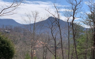 LOT42 Dan Knob, Hayesville, NC 28904