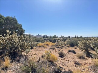 000 Tuckahoe Ave, Chloride, AZ 86431