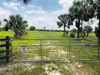 20501 Williams Dr, No Fort Myers, FL 33917