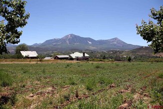0 Swanson Rd Unit 768867, Paonia, CO 81428